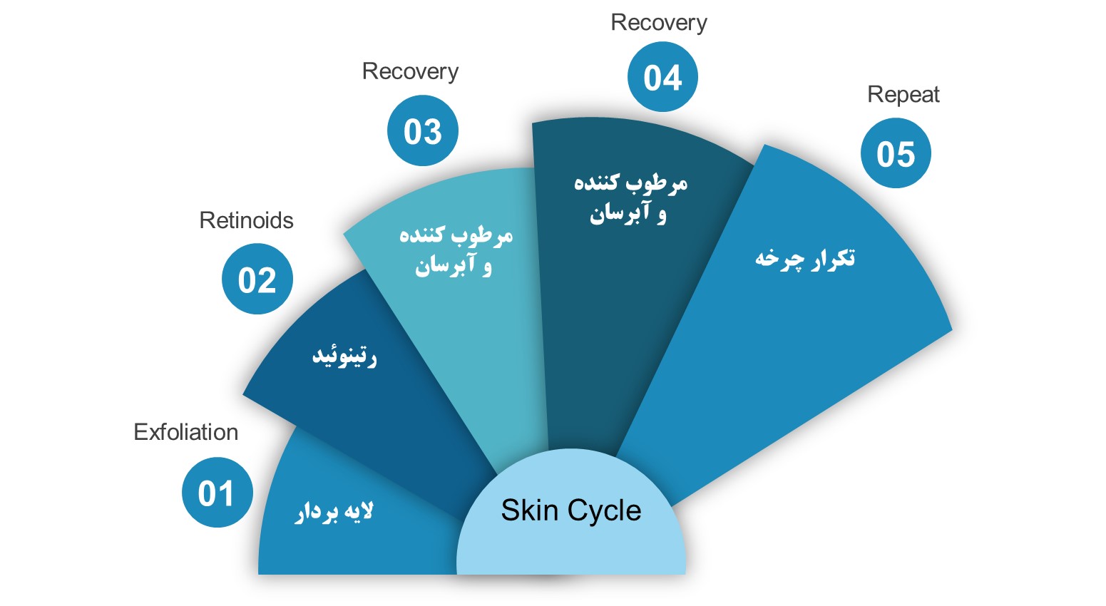 اسکین‌سایکلینگ — مراقبت از پوست